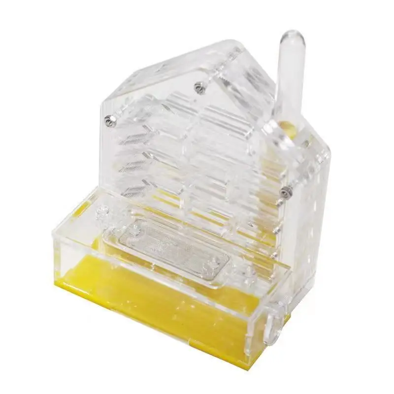 Acrylic Ants Housing Nest Insect Cage Feeding Ant Farm Nest single Test Tube acrylic reptile cage acrylic ant moat