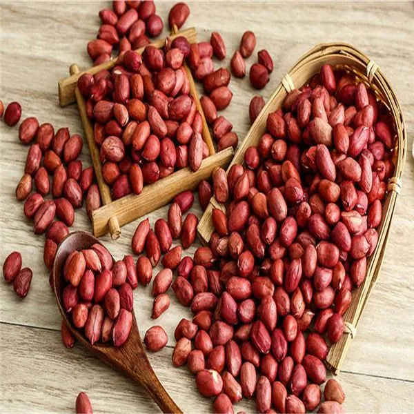 Hot sell Red Skin Peanut with 40/50, 50/60, 70/80, 80/90, 90/100