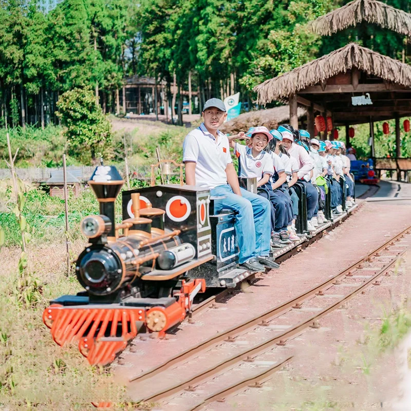 Large Outdoor Amusement Park Equipment Track Train Rides Train Track Amusement Park Train Rides For Sale