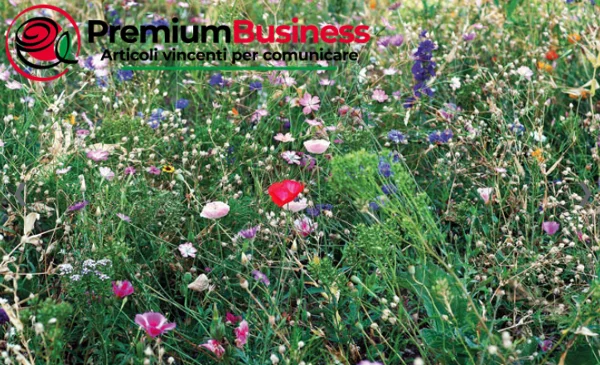 Premium Quality Made in Europe eco friendly gadgets Seed mix to attract bees