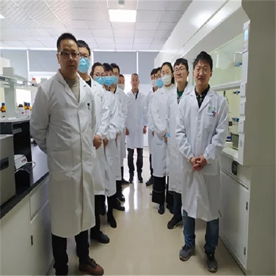 factory supply CAS No.:9011-13-6 STYRENE MALEIC ANHYDRIDE COPOLYMER