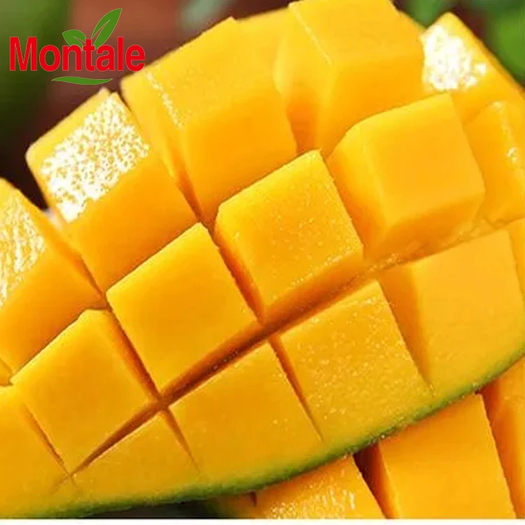 Good Price Fresh Fruit Mango high quality mango