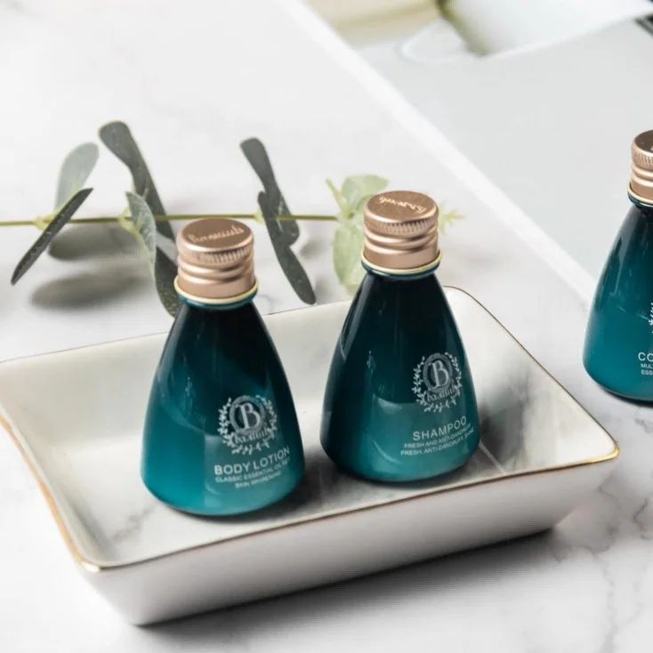 OEM ODM  3-5 Star Hotel Amenities personalized eco friendly toiletries hotel supplies amenities set