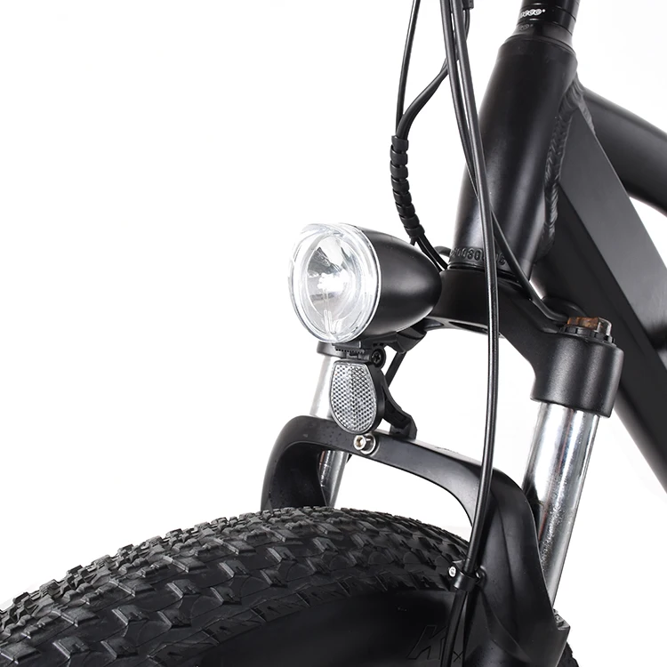 Customized Disc Brake Three-wheel Freight Bicycle 500w Lithium Battery Electric Cargo Bike