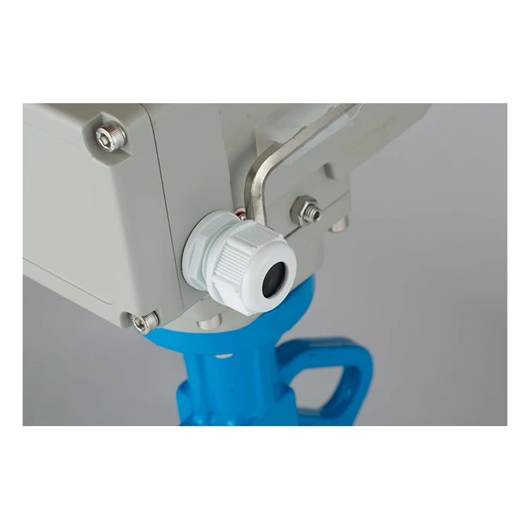 Butterfly Valve DN50 with Electric Drive Cast Iron Motorized Butterfly Valve With Electric Actuator