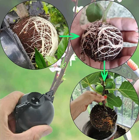 Reusable garden planting rooting ball grafting rooting growing box