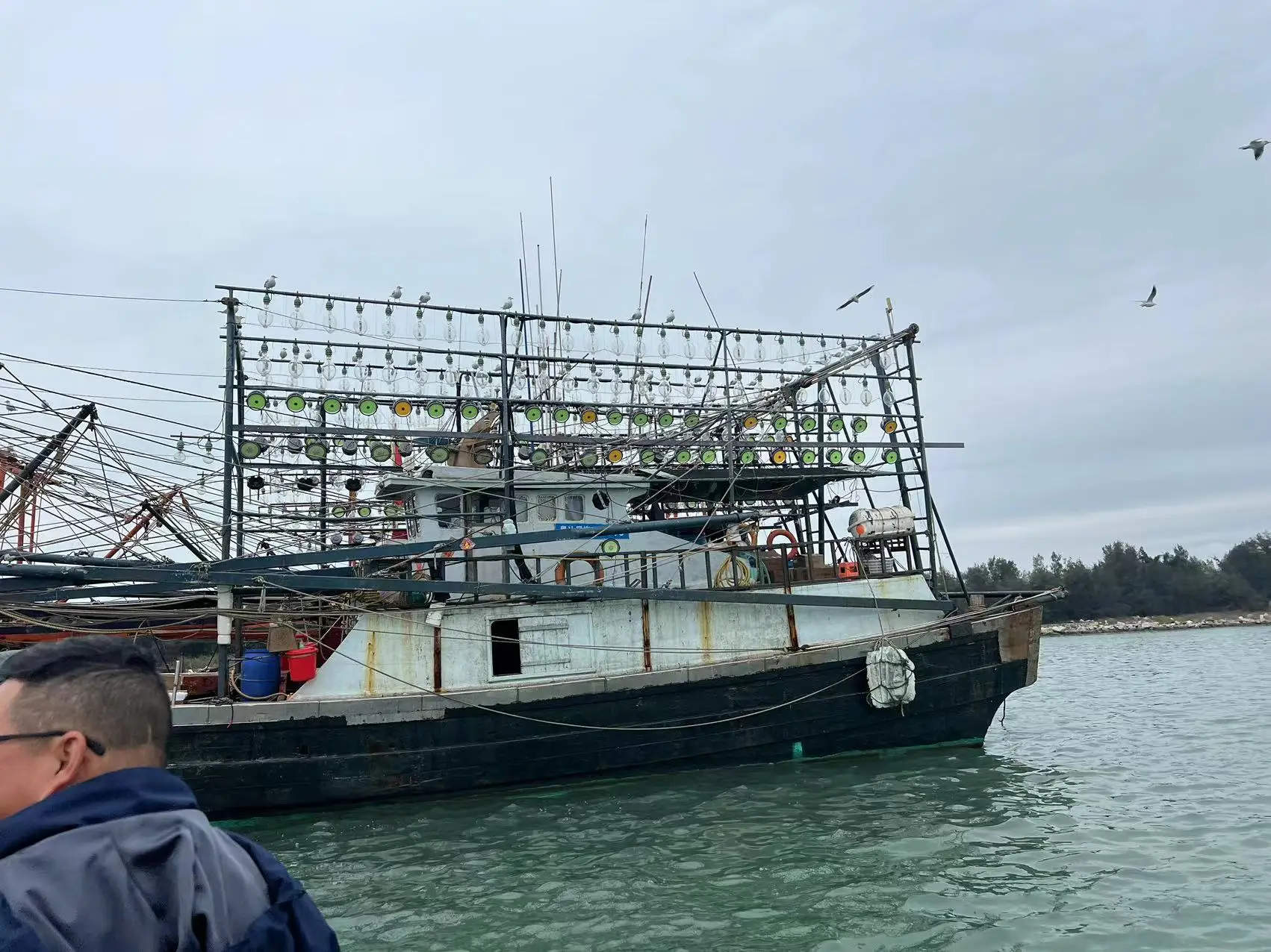 IP67 Waterproof Professional Lighting 800W 1000W 1200W LED Attracting Fish Lamp