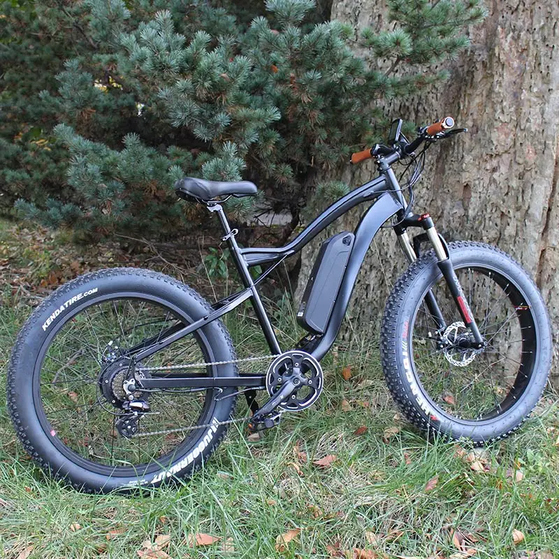 Suncycle Powerful Electric Bike 1000w Ebike Fatbike/Integrated Ebike