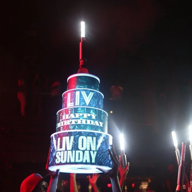 Bar Night Club Led wine  Bottle Glorifier  VIP Service led bottle display birthday cake Bottle Presenter Carrier Case