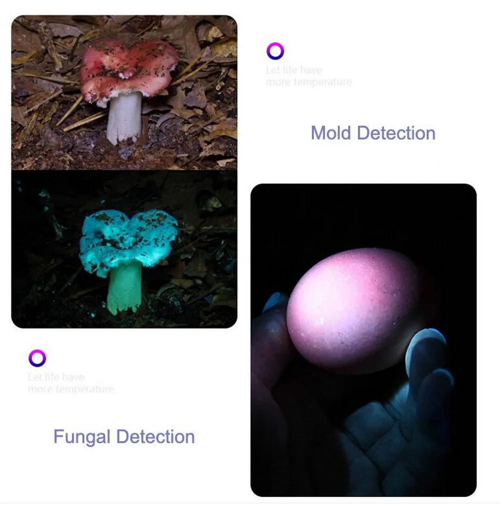 20W LED 365nm High violet UV Flashlight Black Light Torch Cat tinea Money NTD Leakage Scorpion Detector