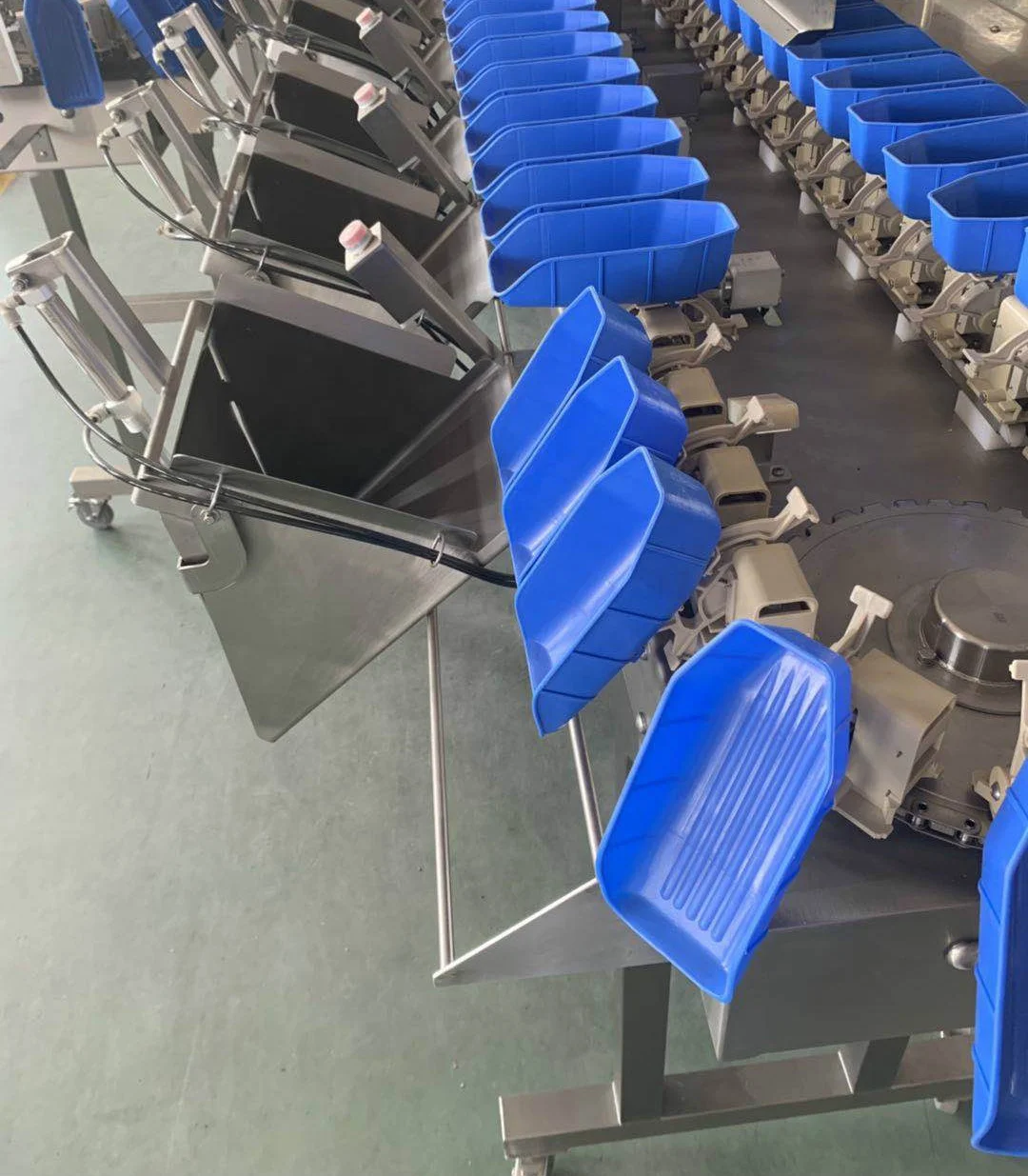 Frozen chicken drumsticks sorting machine sea cucumber oyster grading machine for sale
