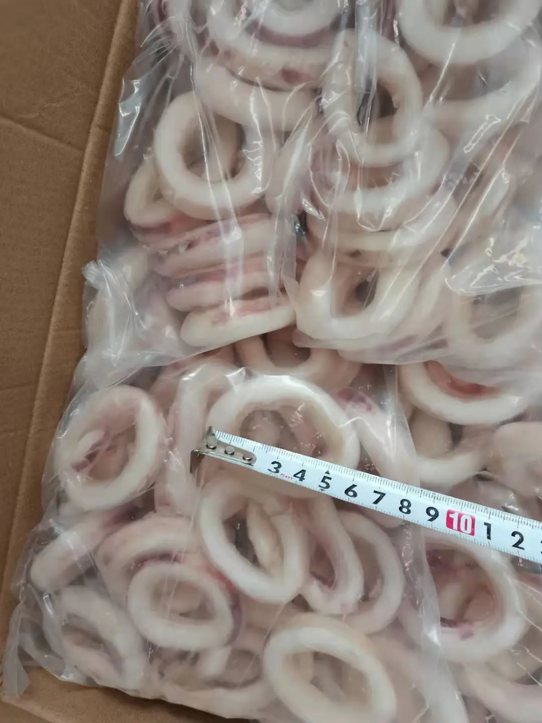 Frozen Seafood Squid Ring Indian Ocean Squid Ring Good Price