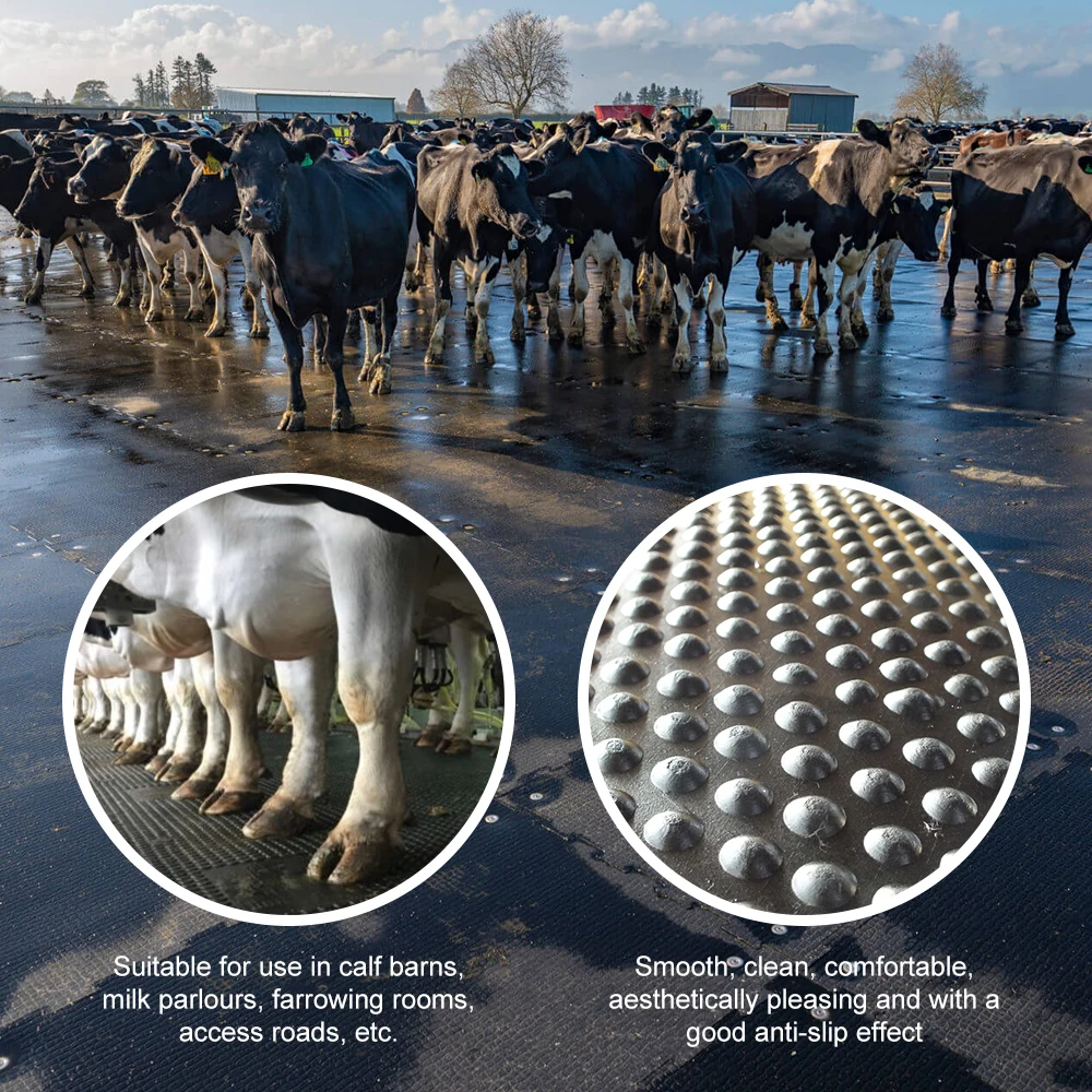 Custom 24mm 34mm Eva foam Comfort Puzzled Interlocking cow mat