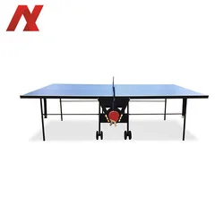 pingpong table