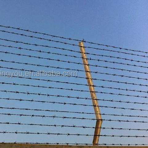 Anping High Quality Hot Dipped Galvanized Barbed Wire Fence