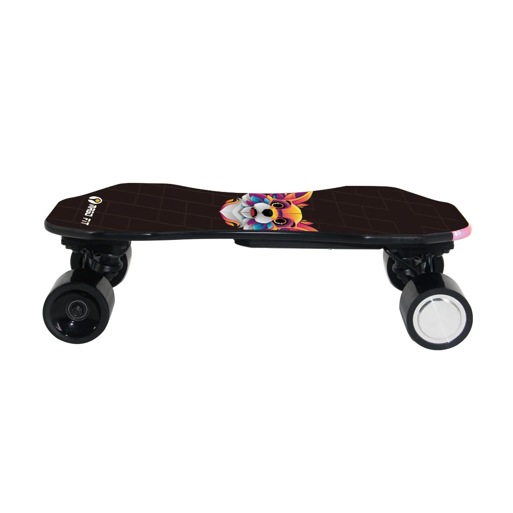 High Quality Battery 9.3Mph Source Factory Skateboard With Controller Electric Cruiser Board Motorized Skateboards Skate