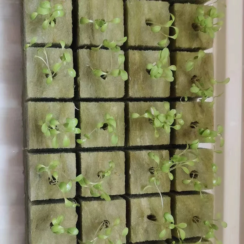 2 Inch Seedling Tray Indoor Plants Hydroponic Cultivation Substrate Rock Wool Cube