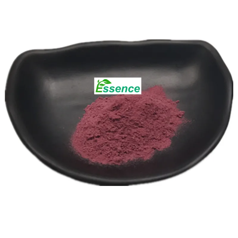 HACCP Factory Supply 25% Anthocyanidin Bilberry Extract Powder