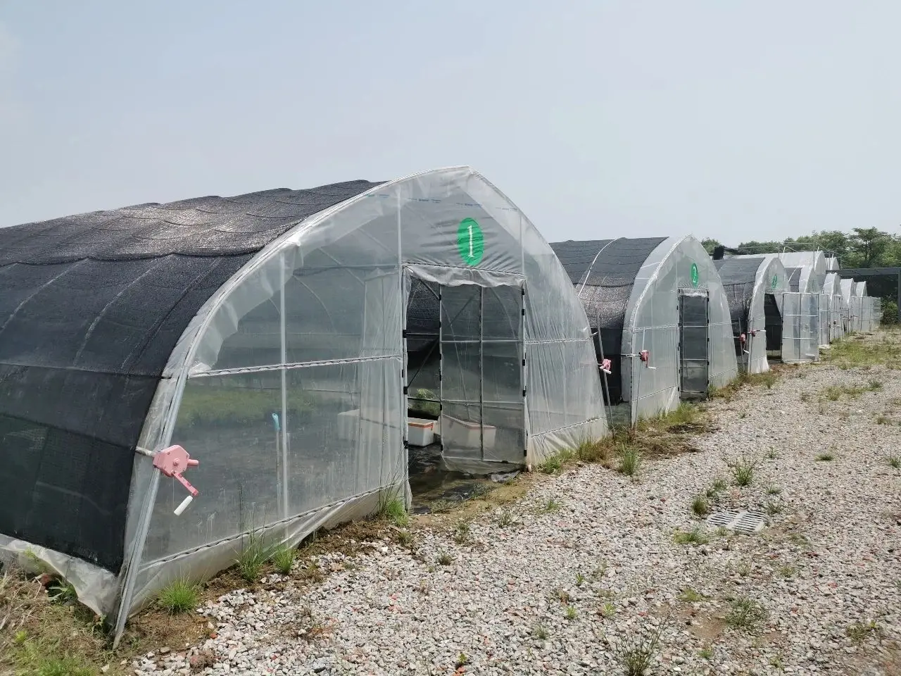 Gothic Arch Greenhouse Agricultural Plastic Green Houses