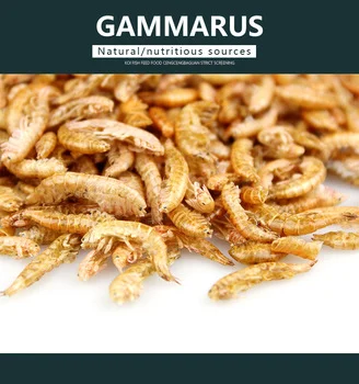 Pet Food Sun Dried Gammarus For Reptiles Food Fish Food