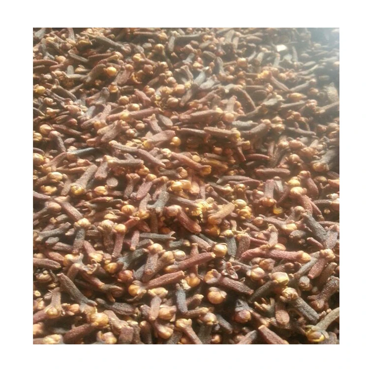 
Organic Indonesia Clove Spices Dried Cloves 