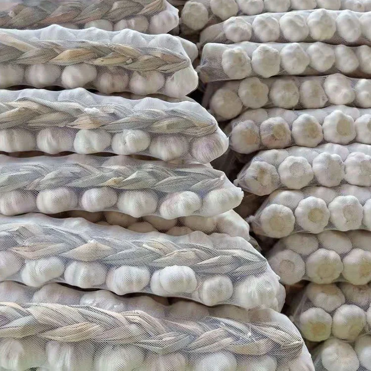 Good price wholesale large amount of fresh white garlic
