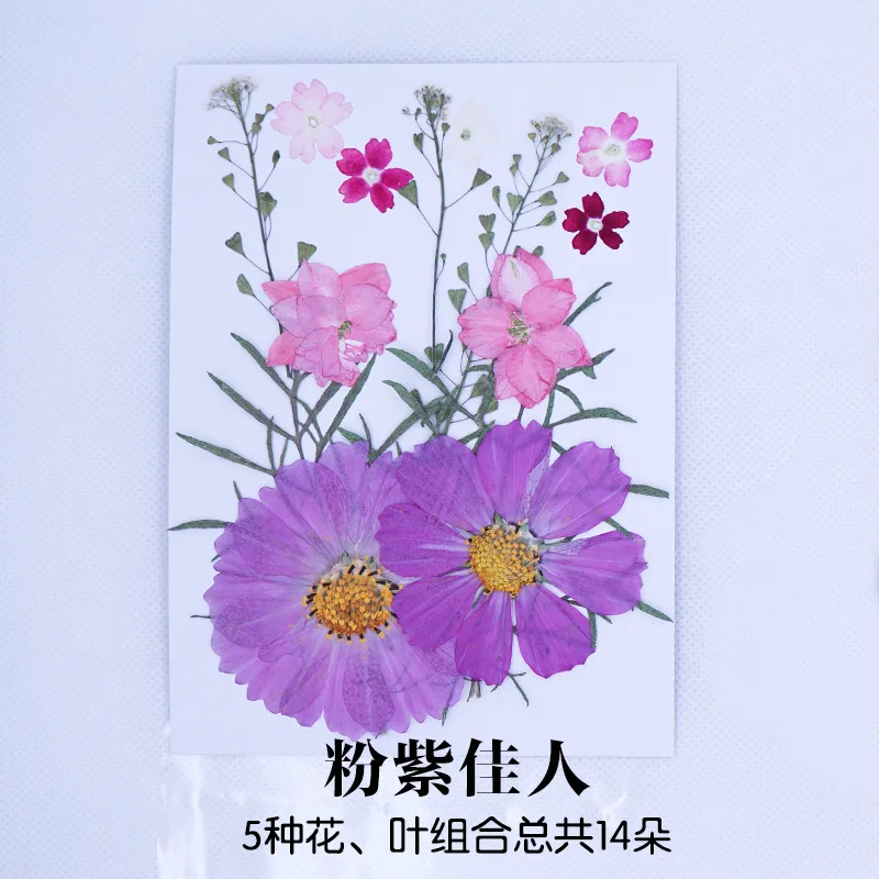 Dyed Dried Pressed Flowers for DIY Resin Jewelry Crafts Candle Making