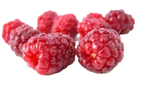 Лучшие натуральные Raspberry экстракт/экстракт cmp сертификация P.E/экстракт экстракт