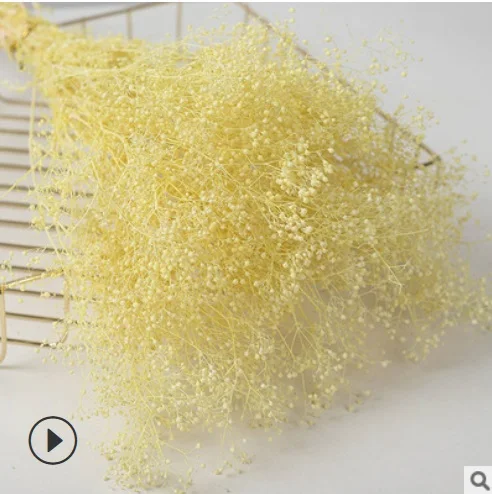 Консервированный белый миллион звезд сушеный цветок Babysbreath