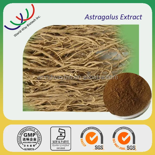 Astragalus Extract Hot sell Supply Pure Astragalus Cycloastragenol Powder Cycloastragenol 99%