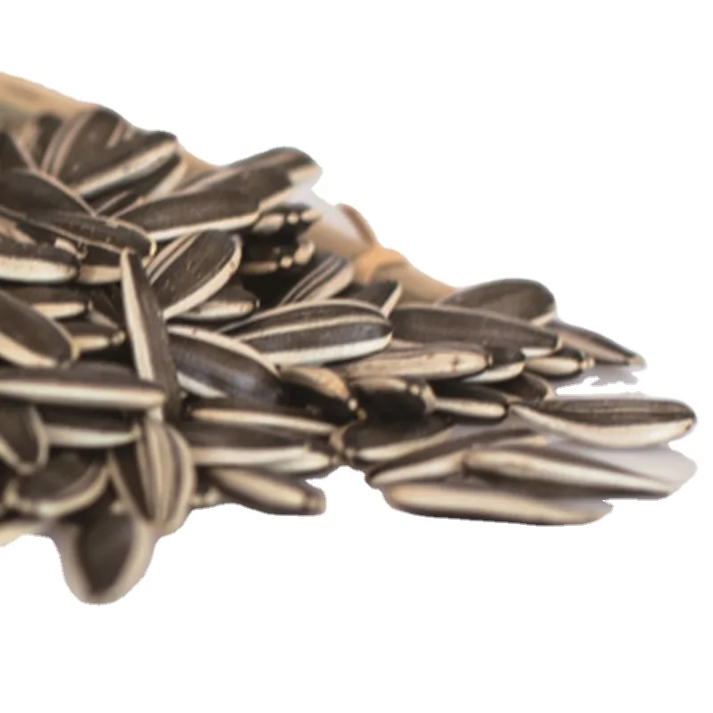 All Kinds of Black White Sunflower Seeds for Oil Extraction from ukraine