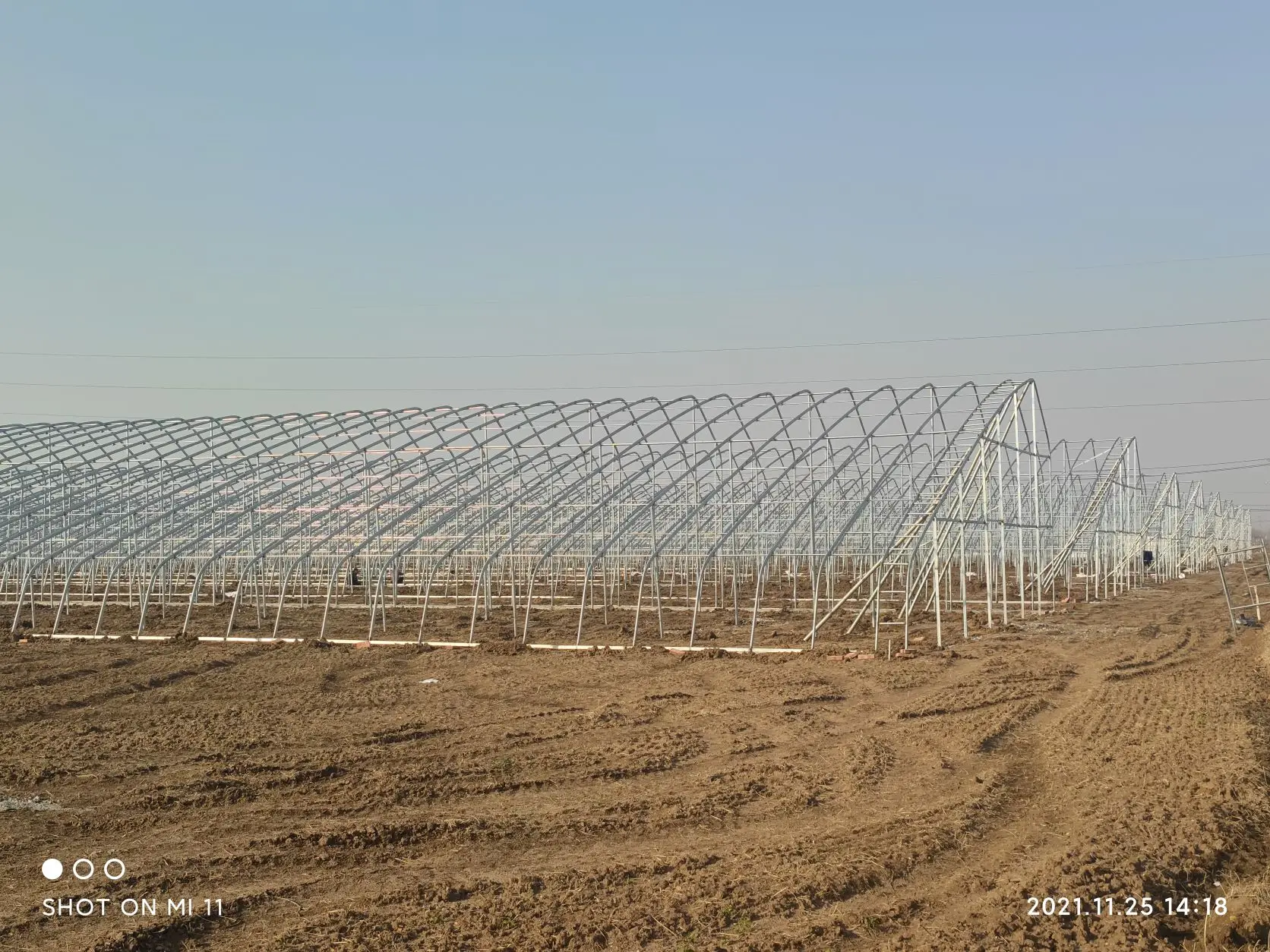 2024 год SUNSGH теплица китайский солнечный зеленый дом с задней стенкой для холодной погоды выращивания овощей Китай овощеводство
