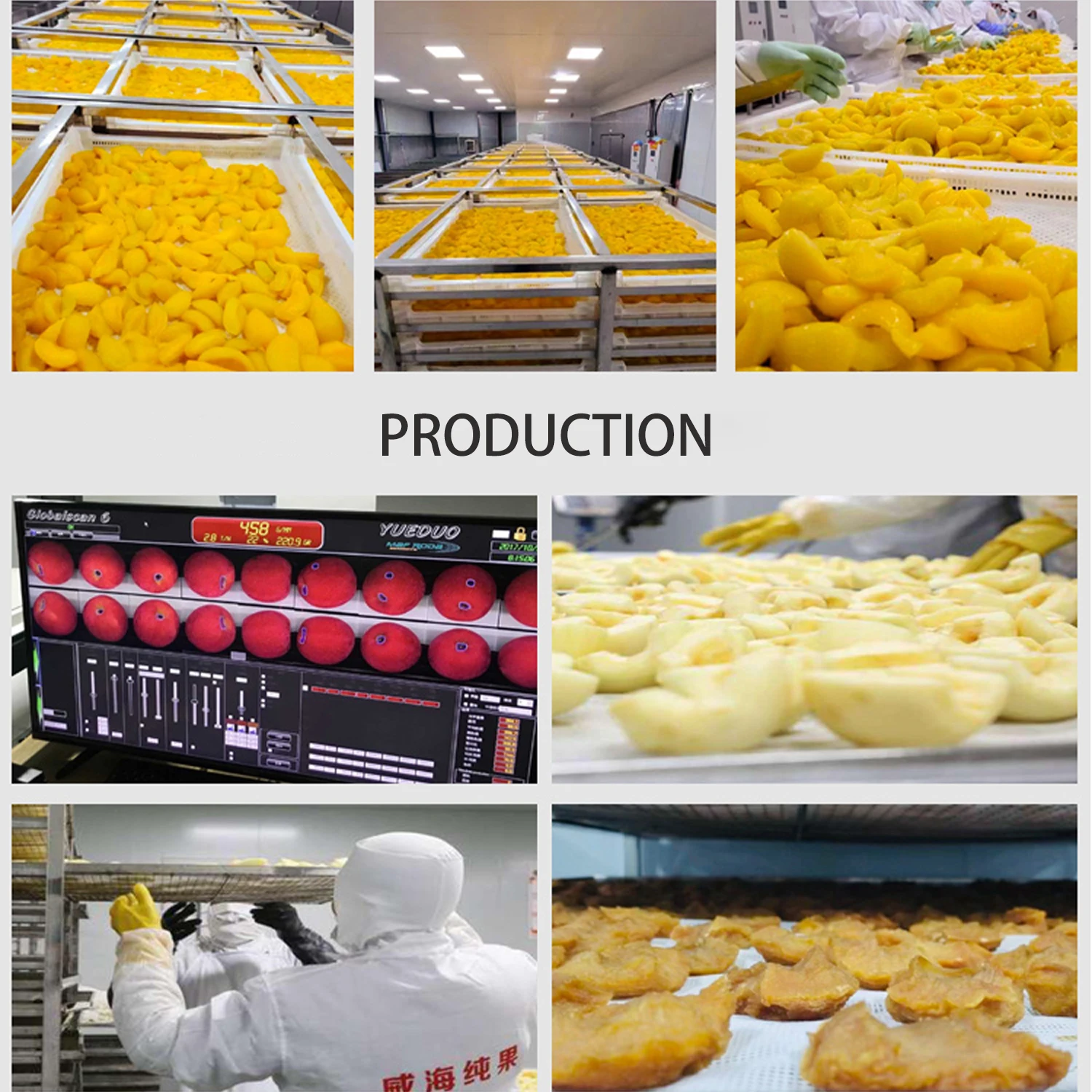 High Quality Dehydrated Dried Yellow Peach Fruits Chinese Dried Peach