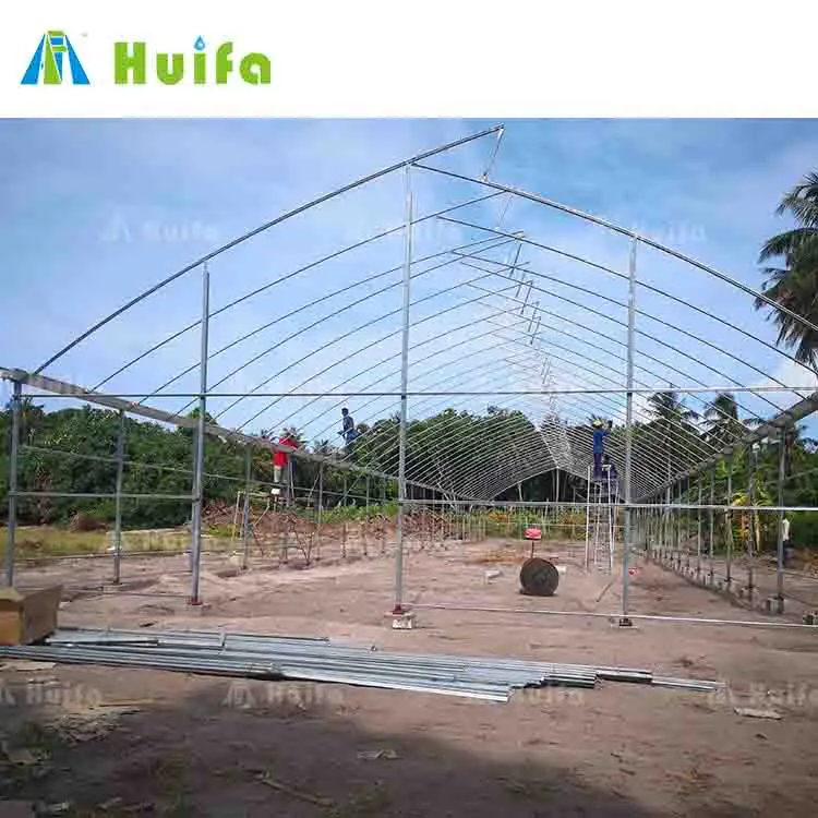 Low Price China Greenhouse With Hydroponic Systems