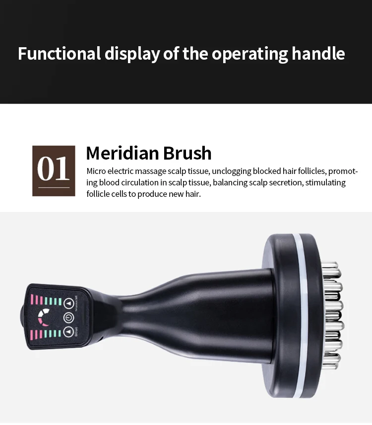 Portable Desktop 5 In 1 Hair Scalp Analyzer Hair Growth Machine Hair Care Treatment Massage Analysis Device