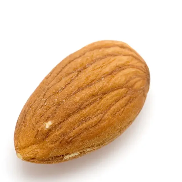 High grade Almond Raw Almond Nut Wholesale Good Quality Nuts Mix Almond