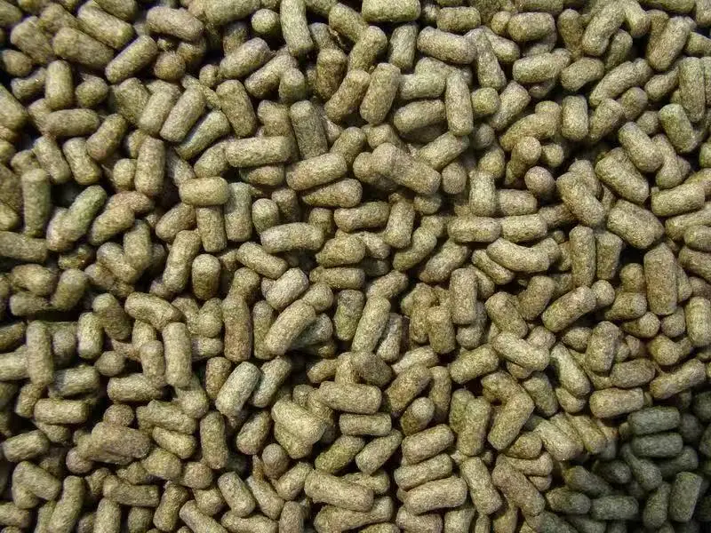 Betta Fish Feed Production Fish Feed Pellet Production Line Fish Feed Extruder Prices