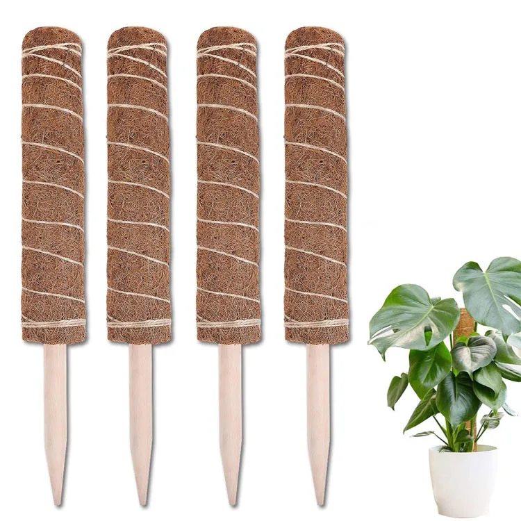 coco rod planting creepers support extension garden rods plant climbing upwards coconut sticks moss pole plants stick fiber
