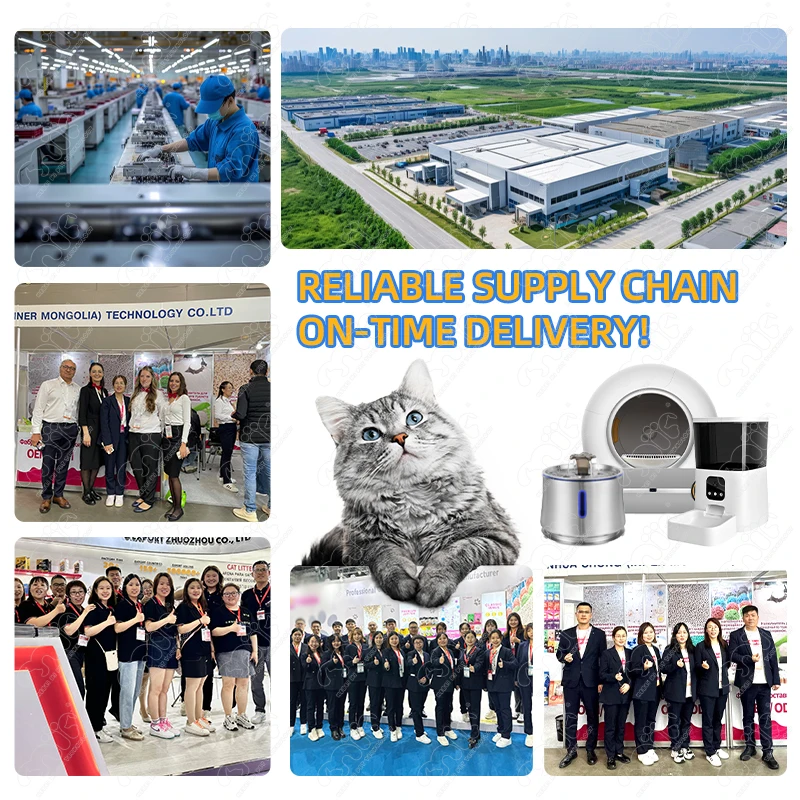 OEM Pet Feeder Customized WIFI Touch Control 3L Dual Power Supply 120-240V Smart Pet Food Feeder