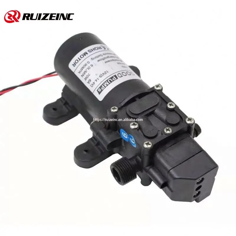 Miniature Intelligent Electric Diaphragm 12V Switch Backflow Micro Pump 100W High Pressure Car Washing Device