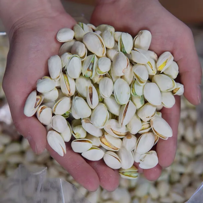 LAFOOCO High Quality Pistachios Ready to Eat with Competitive Price Made in Vietnam Pistachio
