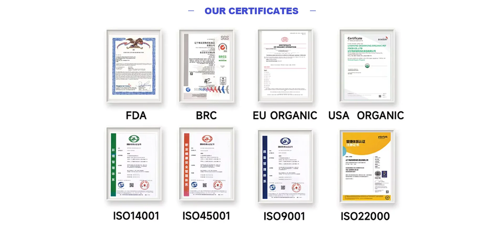 Лидер продаж YZXW в Юго-Восточной Азии по полной цене корм для кошек из курицы и говядины