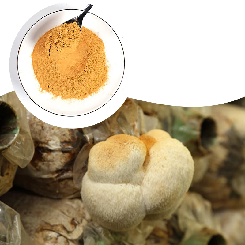 Top Grade Chinese Medicinal Mushroom Extract Lions Mane Powder 100% Organic