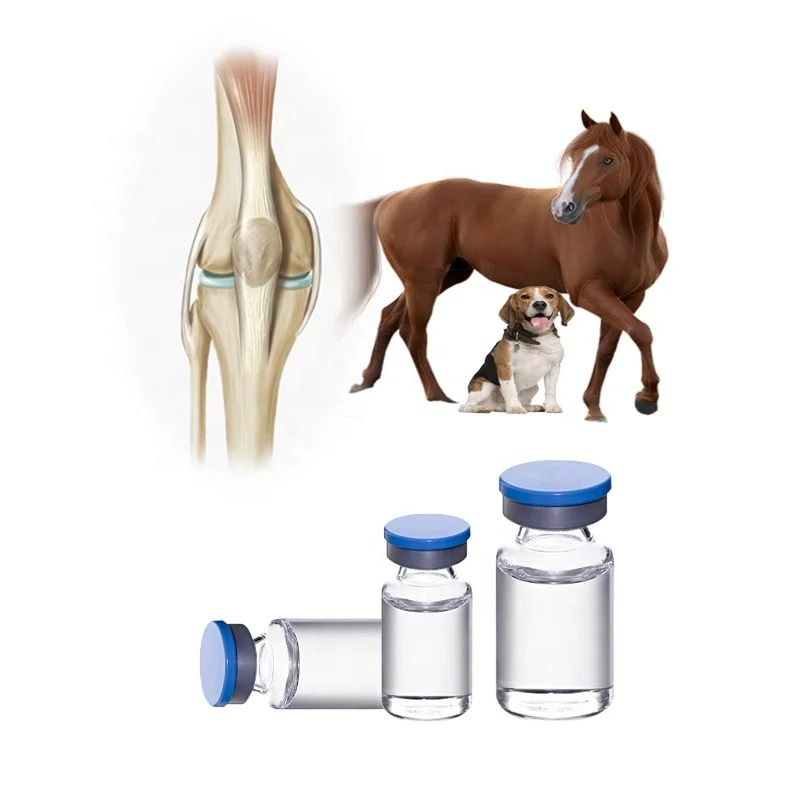 Chondroitin sulfate veterinary medicinehorse horse dog cs joint injection chondroitin sulfate solution