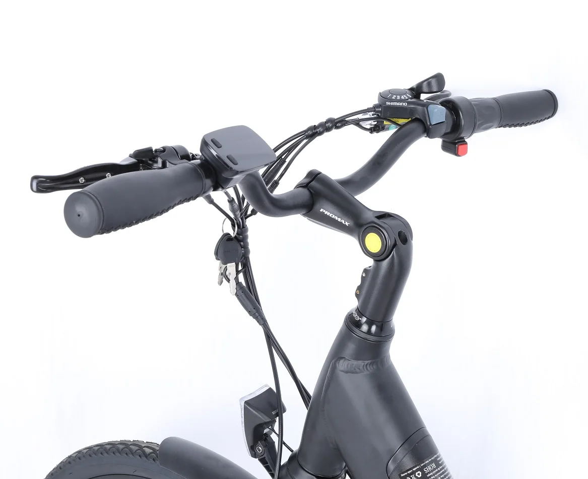China rear drive vintage electric bike for sale/ two batteries electric bicycle ebike buy from factory