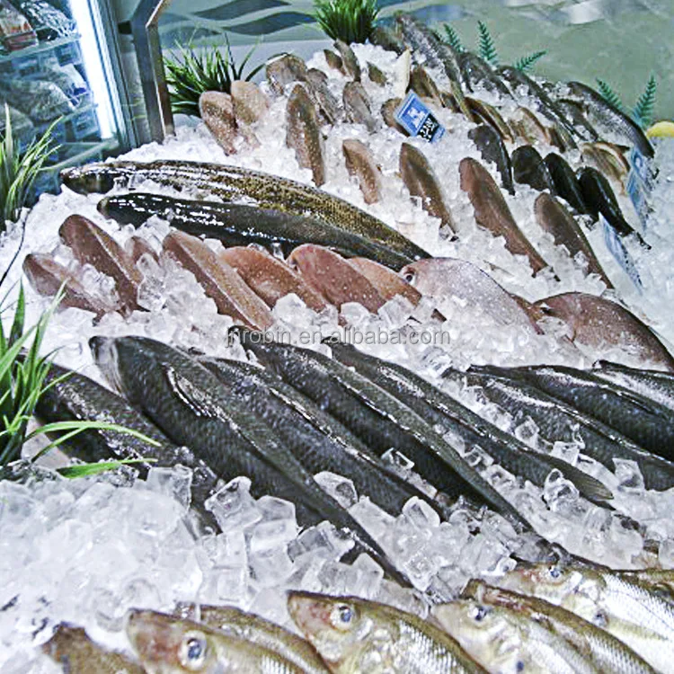 2022 New Design Hot Selling 3 ton ice tube maker 3000 kg tube ice machine