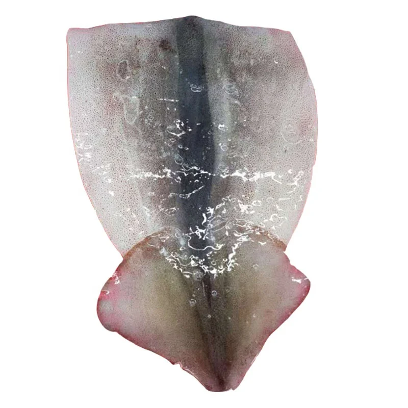 Individual Frozen squid fillet 100/150/200 g Chinese factory manufactured