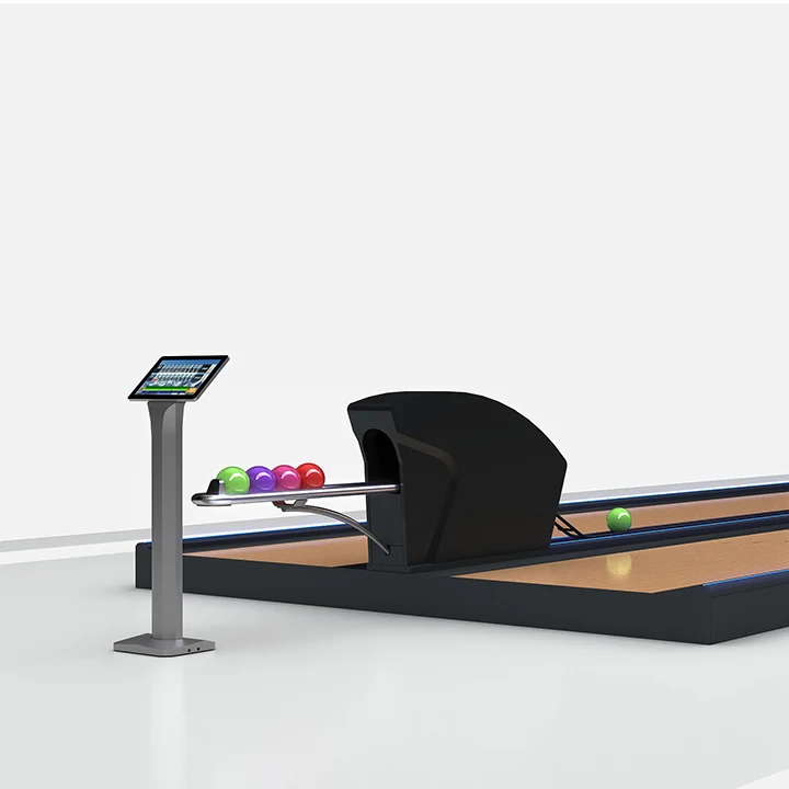 Hot Selling High Quality Bowling Set For Adults Bowling Accessories Ball And Bag Indoor Bowling Party Game