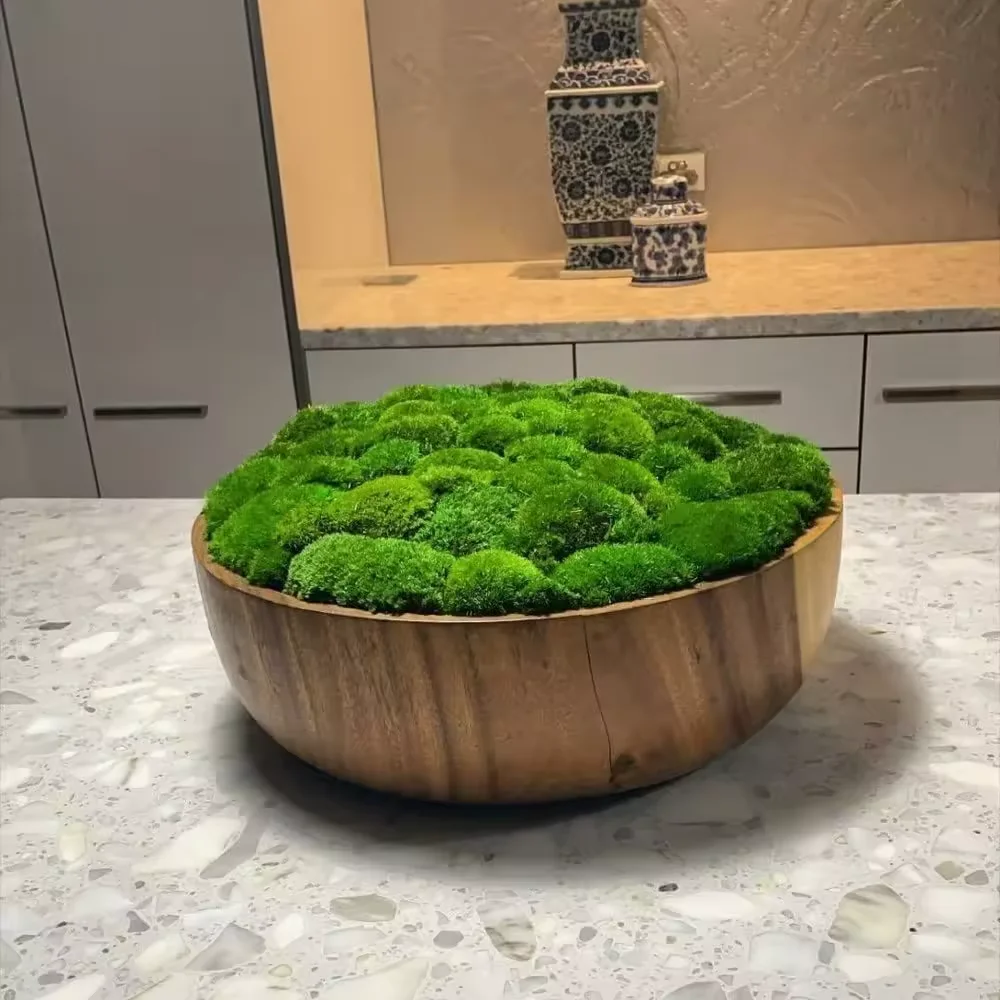 High Quality Preserved Moss Moss Wall Art Indoor And Outdoor Moss For Home And Office Decoration