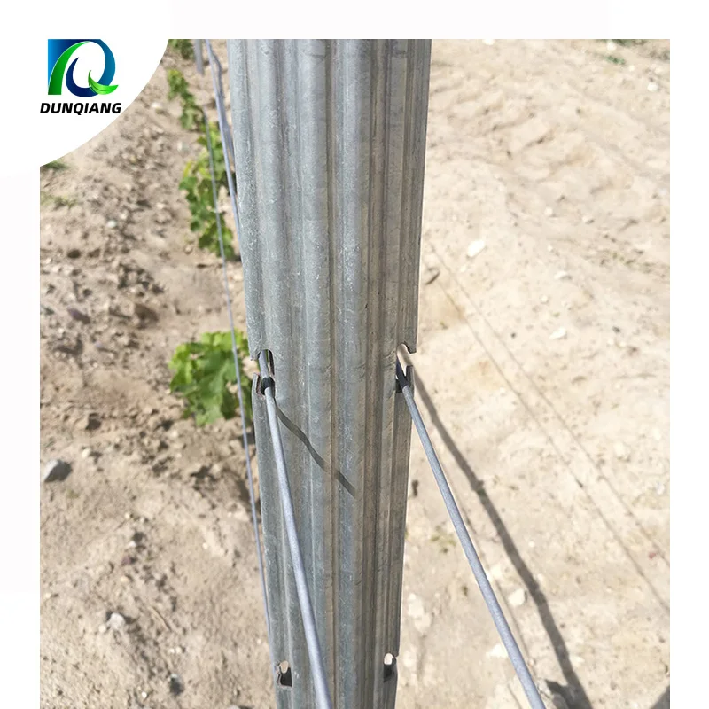Vineyard Support Posts with Galvanized Coating for Superior Durability and Protection